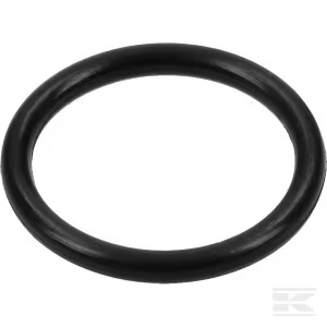 O-Ring 125 X 2,50