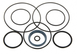 F319 KOMPLET USZCZELNIEŃ F-319 ZESTAW USZCZ.POMPY ZĘB.BIZON