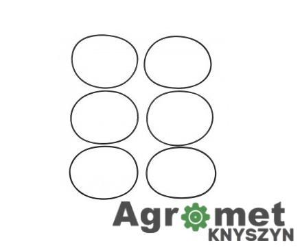 Komplet uszczelnień K116 – siłownik kolumny obrotu NUJN-100 Komplet uszczelnień K116 – siłownik kolumny obrotu NUJN-100