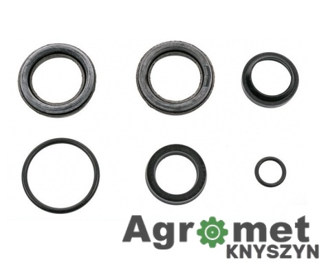 Komplet uszczelnień K373 – Bizon, siłownik wysuwu motowidła 40/22/250 Komplet uszczelnień K373 – Bizon, siłownik wysuwu motowidła 40/22/250