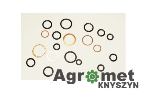 Komplet uszczelnień rozdzielacza C-360