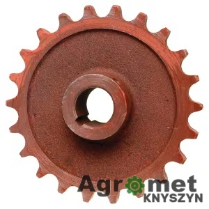 Koło łańcuchowe napędowe 1" (Z-22, fi 35 mm, klin 10 mm) Koło łańcuchowe napędowe 1" (Z-22, fi 35 mm, klin 10 mm)