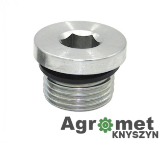 KOREK 3/8 BSP VSZ06 G3/8 1101-214-06 VSZ06 Korek 3/8 BSP 2010000014653 imbus iguana