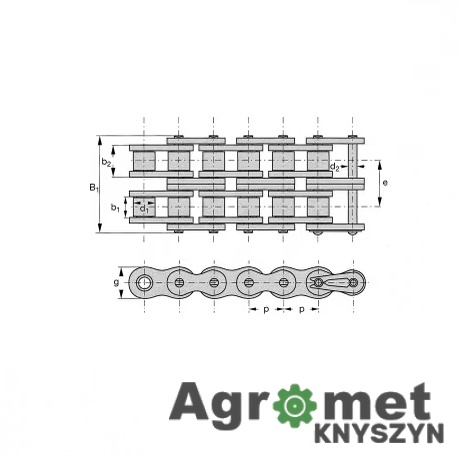 Łańcuch Rolkowy Podwójny 10B-2 (5/8" x 3/8") – Na Metry (10B2GPP005)