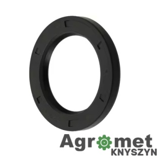 Pierścień Simmering, 25 X 38 X 7 25X38X7 S25X38X7